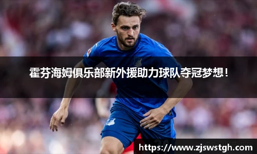 霍芬海姆俱乐部新外援助力球队夺冠梦想！