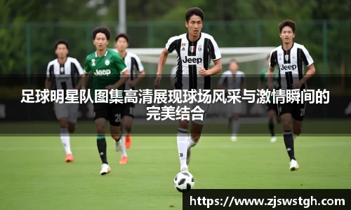 zoty中欧官方网站